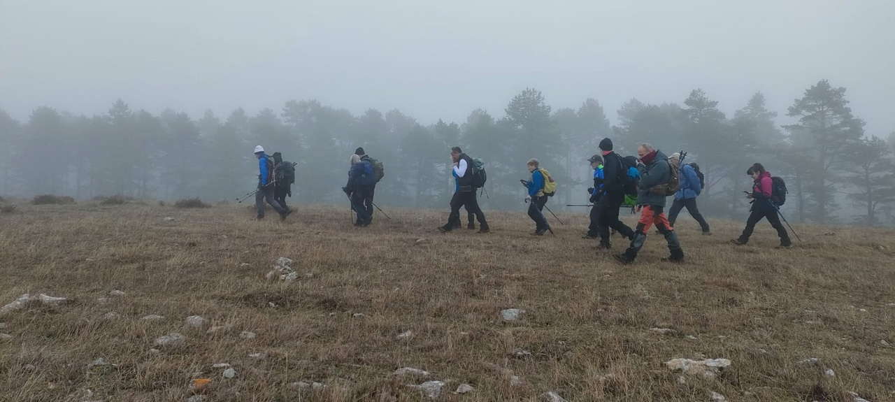 WhatsApp Image 2026-02-10 at 14.47.45 (1)